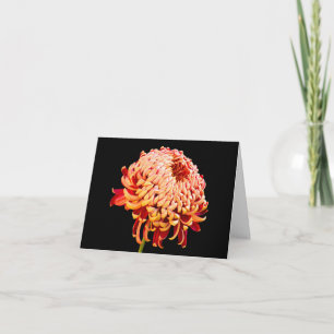 Cartão All Occasion Red Chysanthemum Note Greeting Card
