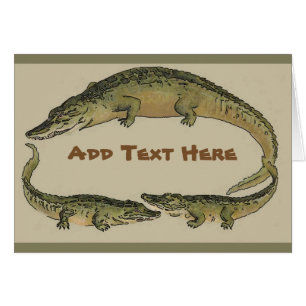 Cartão Alligador arredondar