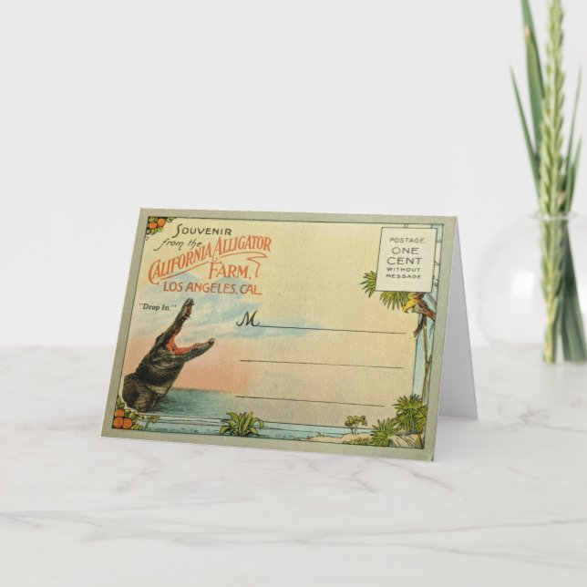 Cartão Alligadores da Califórnia (Frente)