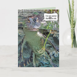 Cartão Alligator 60º aniversário