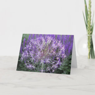 Cartão Allium/Salvia