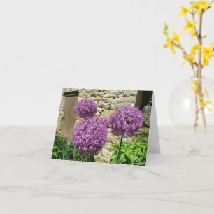 Cartão Allium (vazio)