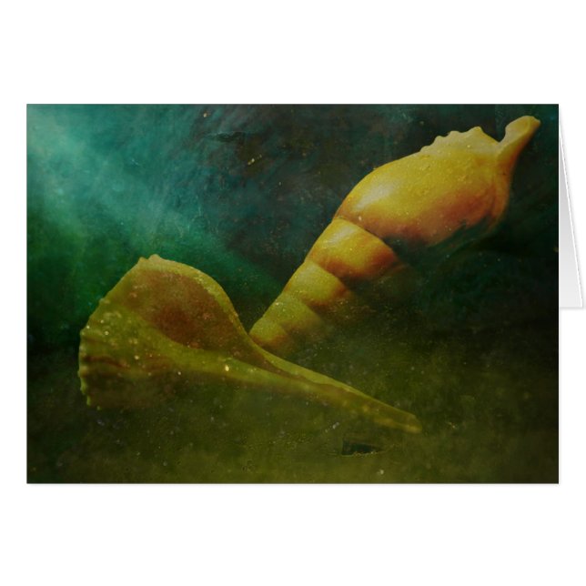 Cartão Alma escondida abaixo (Frente Horizontal)