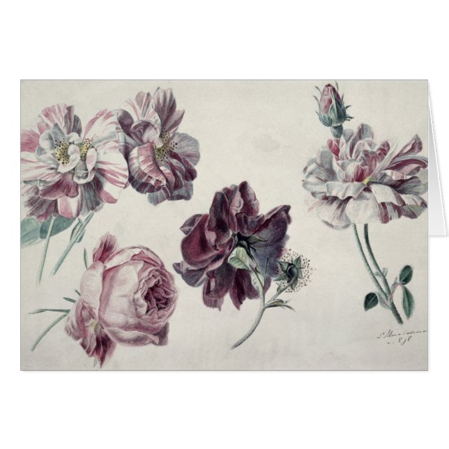 Cartão Alma-Tadema | ROSAS (Frente Horizontal)