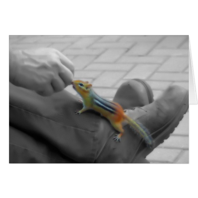 Cartão Almoço do chipset (Frente Horizontal)