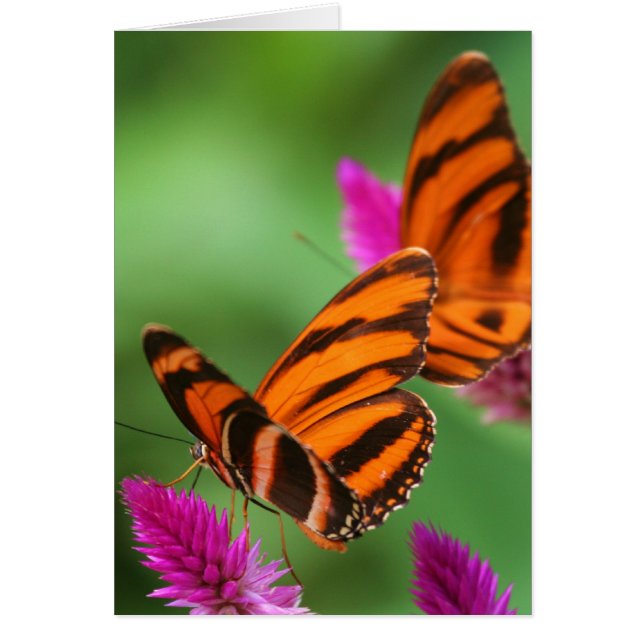 Cartão Almoço para dois (Frente)