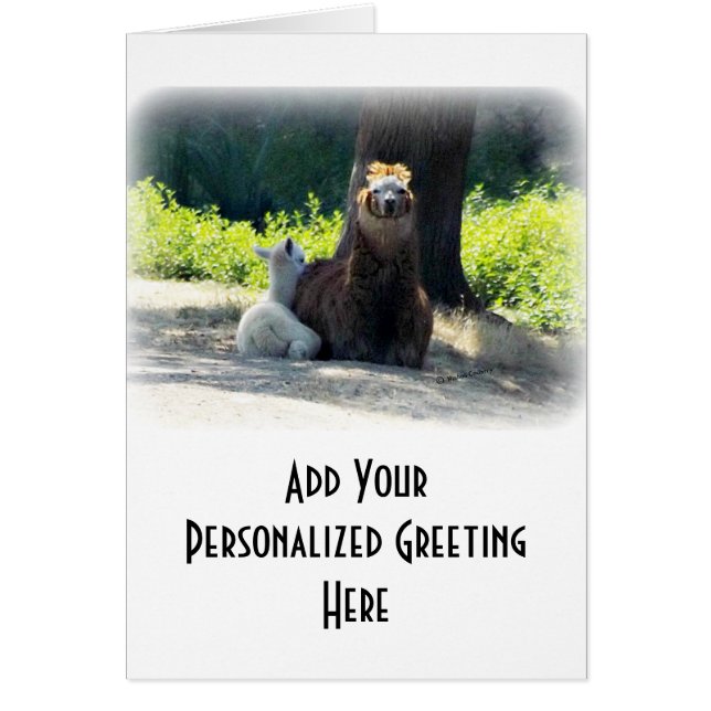 Cartão Alpacas - mamã & bebê (Frente)