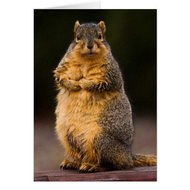 Cartão Altura em Pé (Frente)