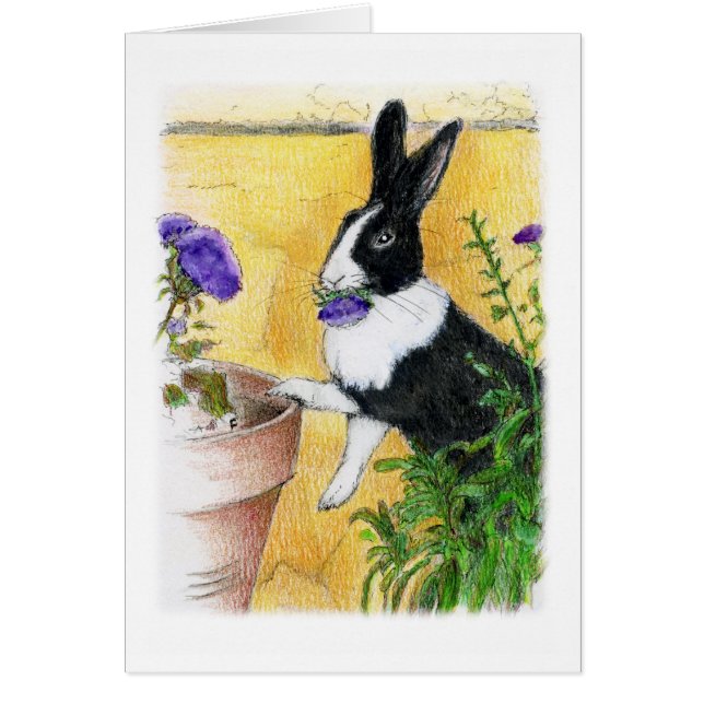 CARTÃO AMA-ME (Frente)