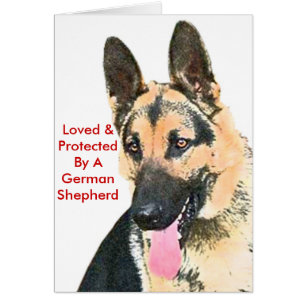 Cartão Amado & protegido por um german shepherd