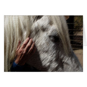 Cartão Amando um cavalo
