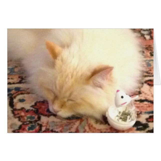 Cartão Amanhã, Pegaremos O Ponto Vermelho (Frente Horizontal)