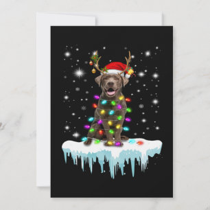 Cartão Amante de Cachorro   Luz de Natal Labrador Chocola