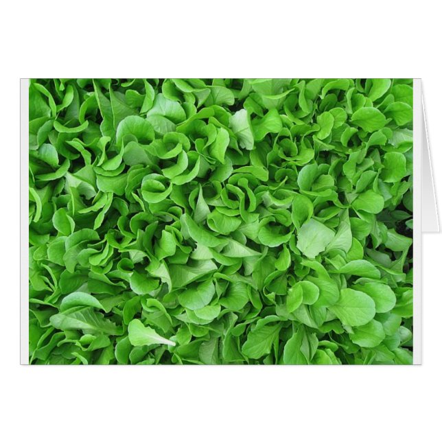 Cartão amantes de alface (Frente Horizontal)