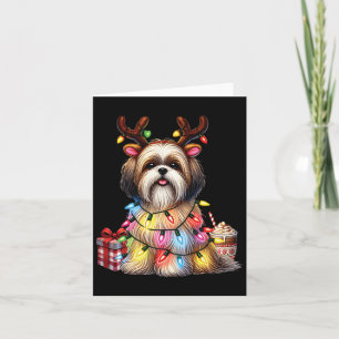 Cartão Amantes de Animais de Estimação Shih Tzu Cães Chif