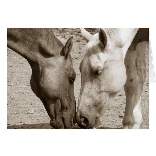 Cartão Amar um ao outro (Frente Horizontal)