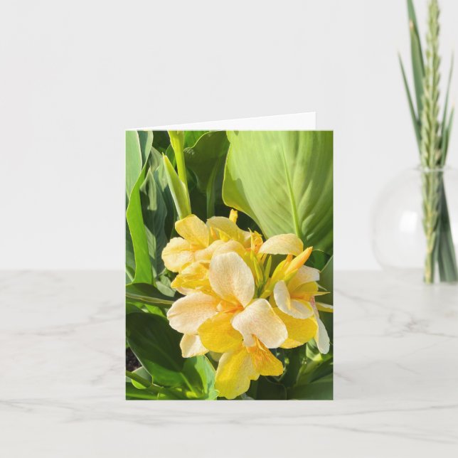 Cartão Amarelo Canna Lily Em Uma Foto De Jardim (Frente)
