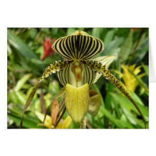 Cartão amarelo da flor da orquídea