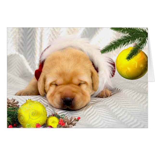 Cartão Amarelo da semana 2 da gratitude (Frente Horizontal)