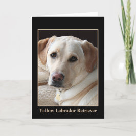 Cartão amarelo de labrador retriever (vazio)