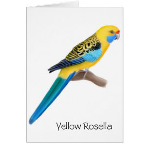 Cartão amarelo do papagaio de Rosella