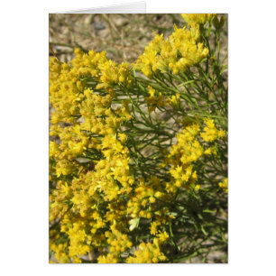 Cartão amarelo do Wildflower da pradaria