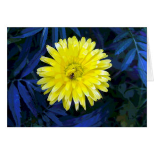 Cartão Amarelo e Azul