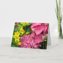 Cartão Amarelo e Rosa