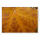Cartão Amarelo Mapeador Folha de outono Natureza Abstrato (Frente Horizontal)