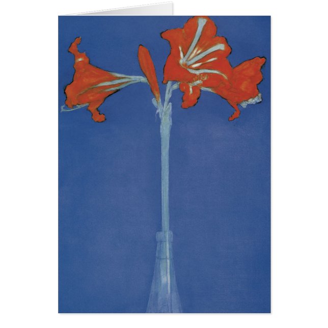 Cartão Amaryllis (Frente)