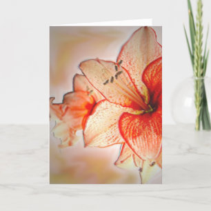 Cartão Amaryllis Adoration