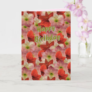 Cartão Amaryllis Floral Birthday Card
