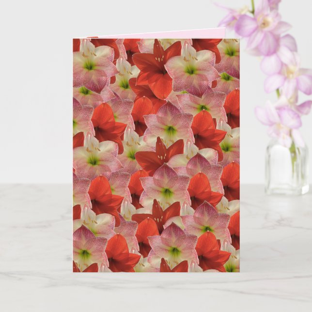Cartão Amaryllis Floral Birthday Card (Orquídea)