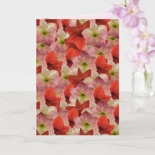 Cartão Amaryllis Floral Birthday Card