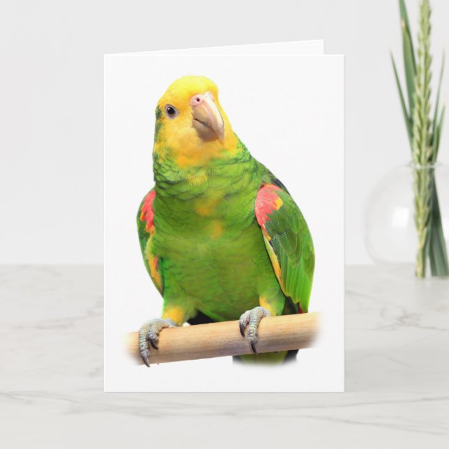 Cartão amazon Amarelo-dirigido (Frente)