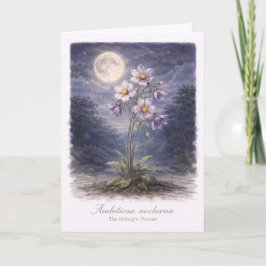 Cartão Ambitiosa Nocturna - The Midnight Planner