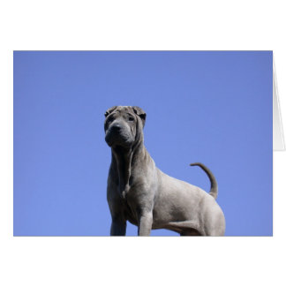 Cartão Ame-Me, Ame O Meu Cachorro...