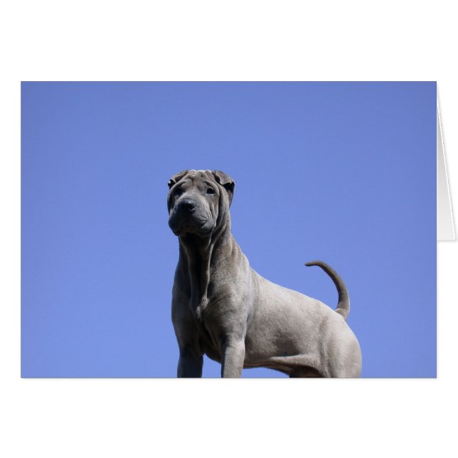 Cartão Ame-Me, Ame O Meu Cachorro... (Frente Horizontal)