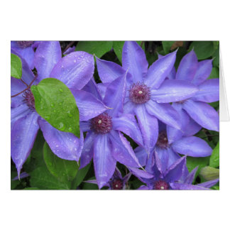 Cartão Ame-me azul - série de TBD