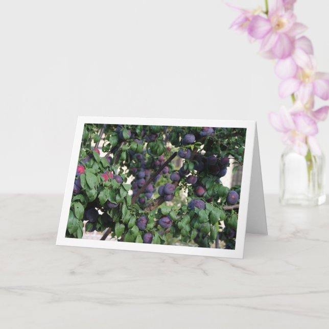 Cartão Ameixas roxas na árvore (Orquídea)