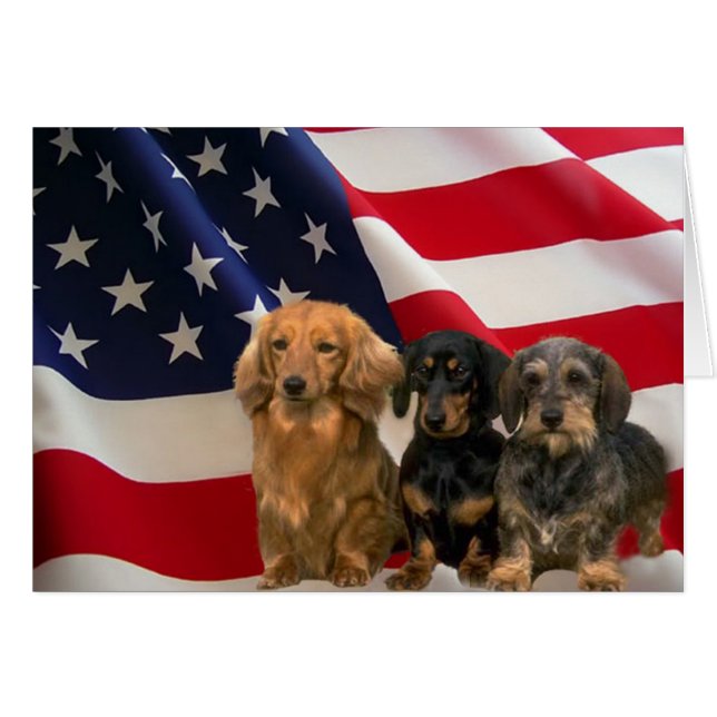 Cartão América Dachshund (Frente Horizontal)