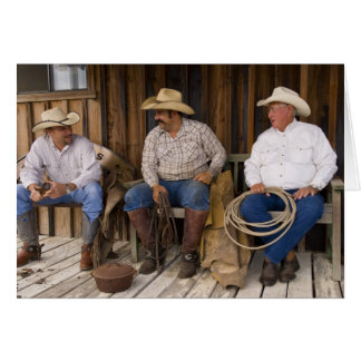 Cartão América do Norte, EUA. Cowboys relaxando e