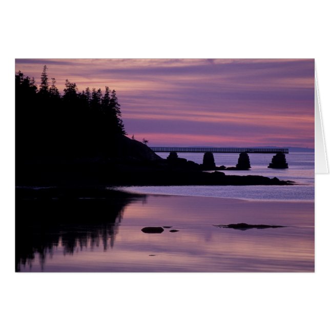 Cartão América do Norte, EUA, EU, Isle Au Haut. Pato (Frente Horizontal)