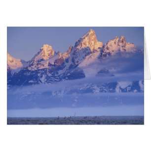 Cartão América do Norte, EUA, Wyoming, Grand Teton NP, 2