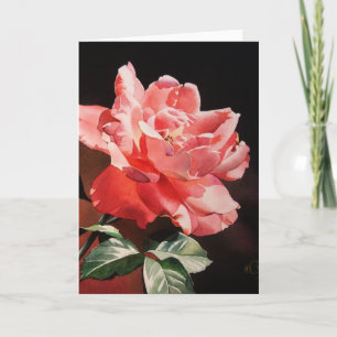 Cartão American Beauty Greeting Card