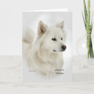 Cartão American Eskimo Dog Art Gifts