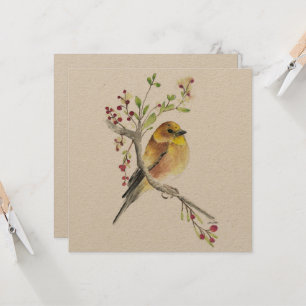 Cartão American Goldfinch Bird Berries