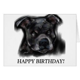 Cartão American Staffordshire Terrier