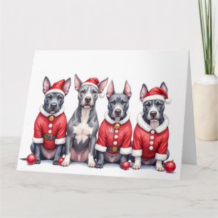 Cartão American Staffordshire Terrier vestido de Natal