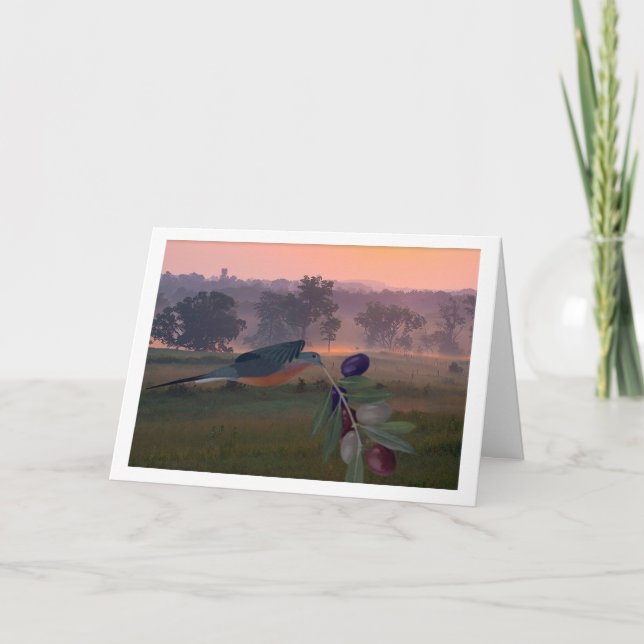 Cartão American Unity Card (Frente)